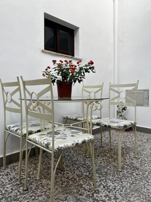 Apartamentos Casa Vicario Jerez de la Frontera Zewnętrze zdjęcie
